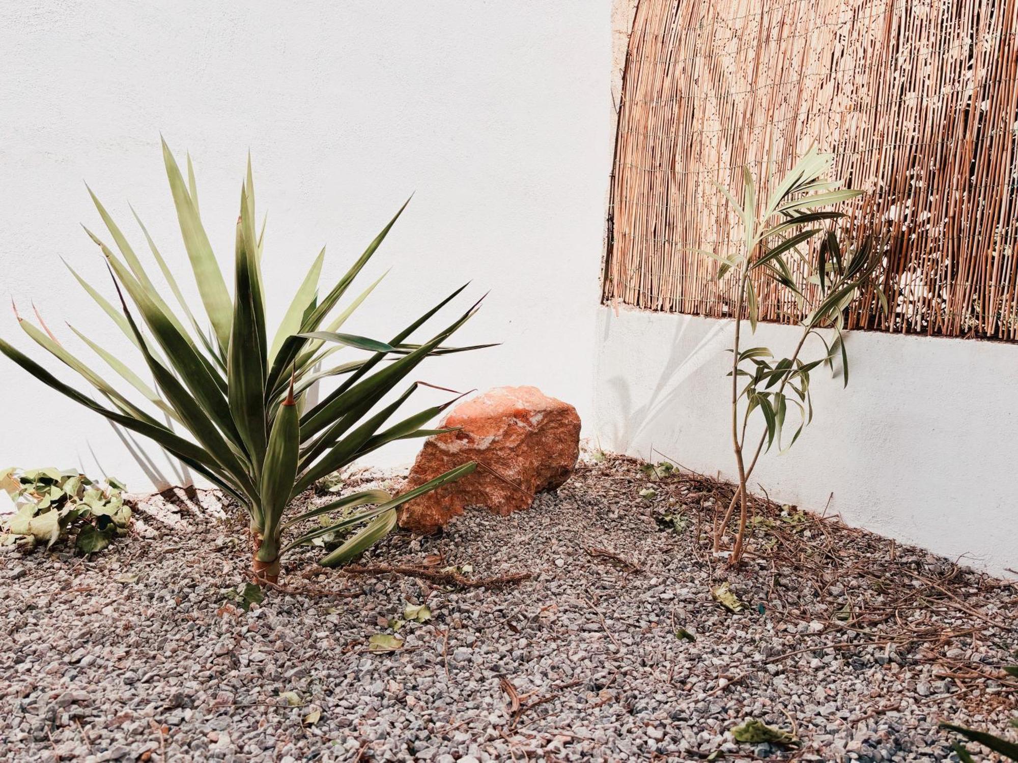 Avec Jardin Privatif A 300m De La *2* Appartement *
